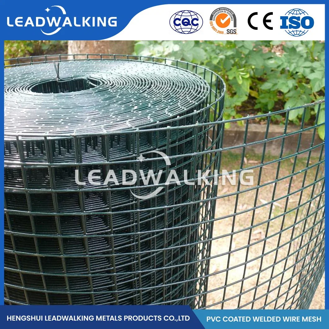 Leadwalking Galvanized Welded Wire Mesh Panel Factory Ss Steel Plastic Coated Welded Mesh China Welded Wire Mesh with Green PVC Coating for Plant Support