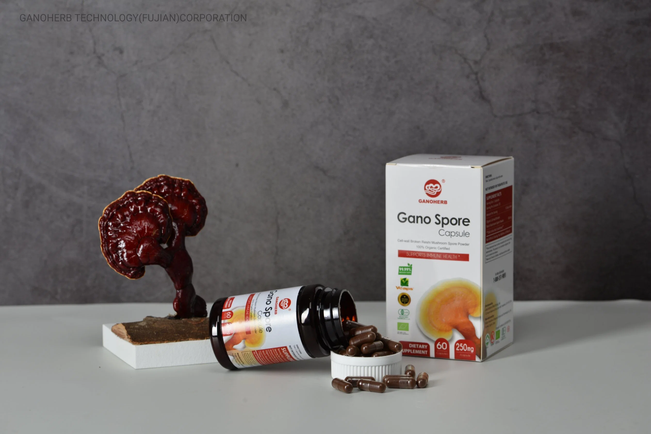 Shell Wall Broken Ganoderma Capsule Reishi Spore Capsule with Organic Certificate