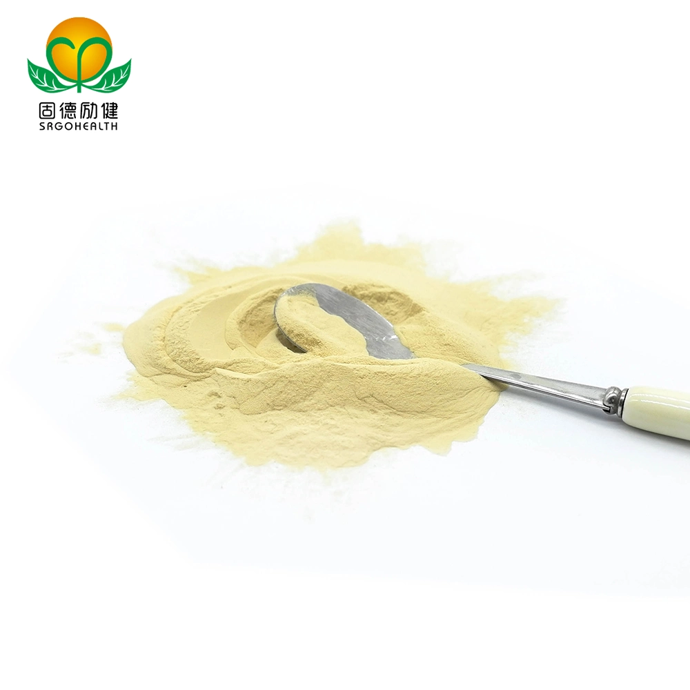 OEM GMP Hot Selling Lower Price Organic Rice Protein