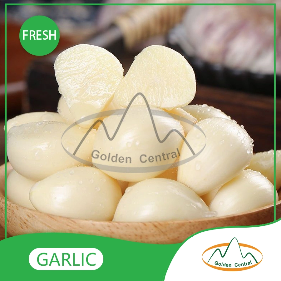 Lowest Price High Grade Pure White Garlic