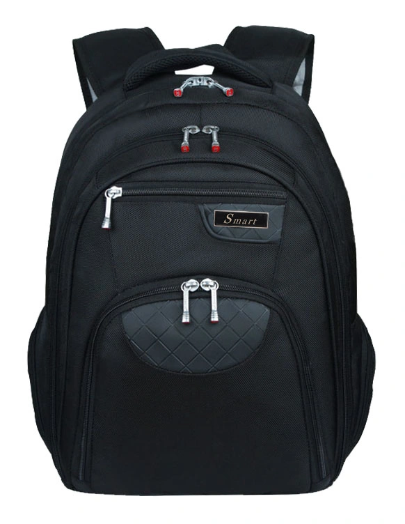 Fashionable Backpack Laptop Bag Sport Bags SB2109