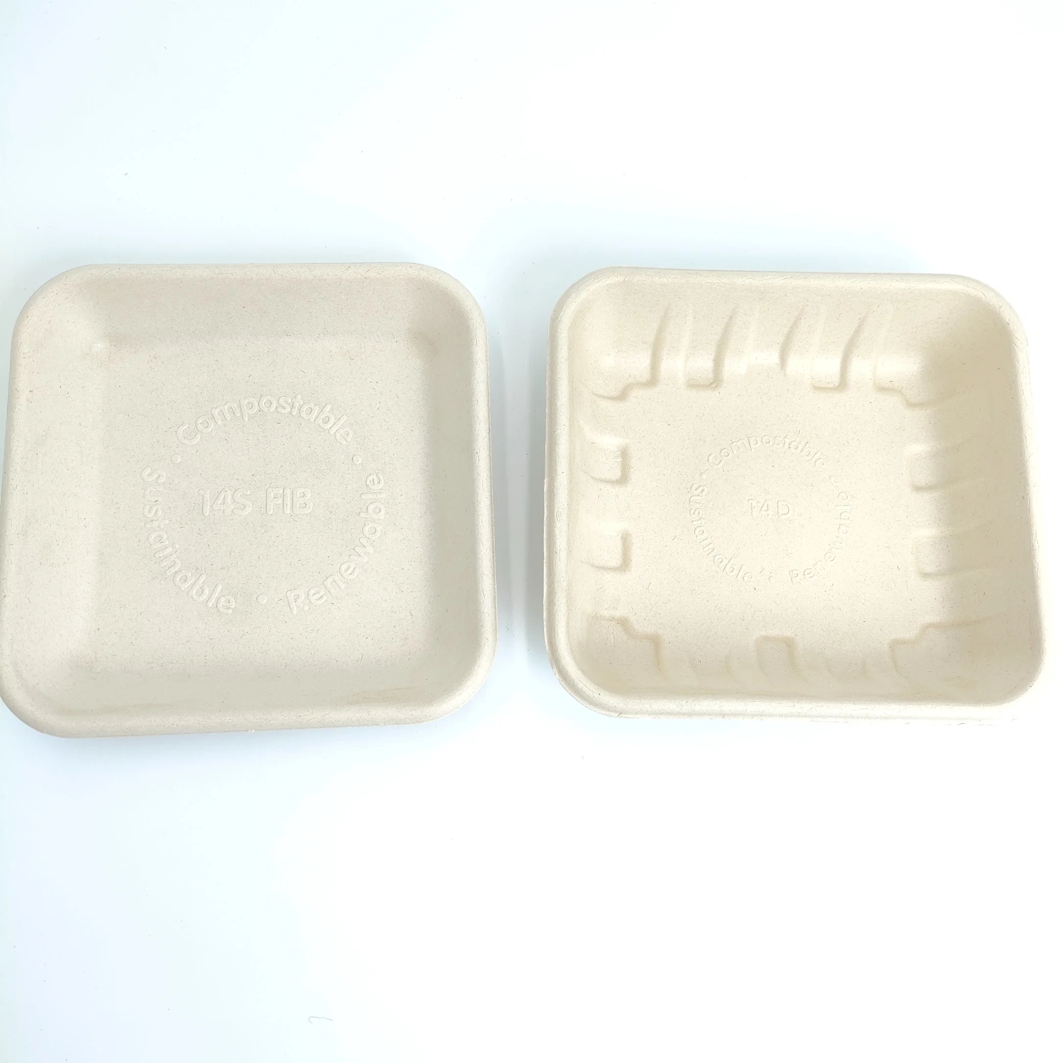 Sugarcane Bagasse Fried Chicken Custom Food Box Packaging Sushi Square Tray with Lid