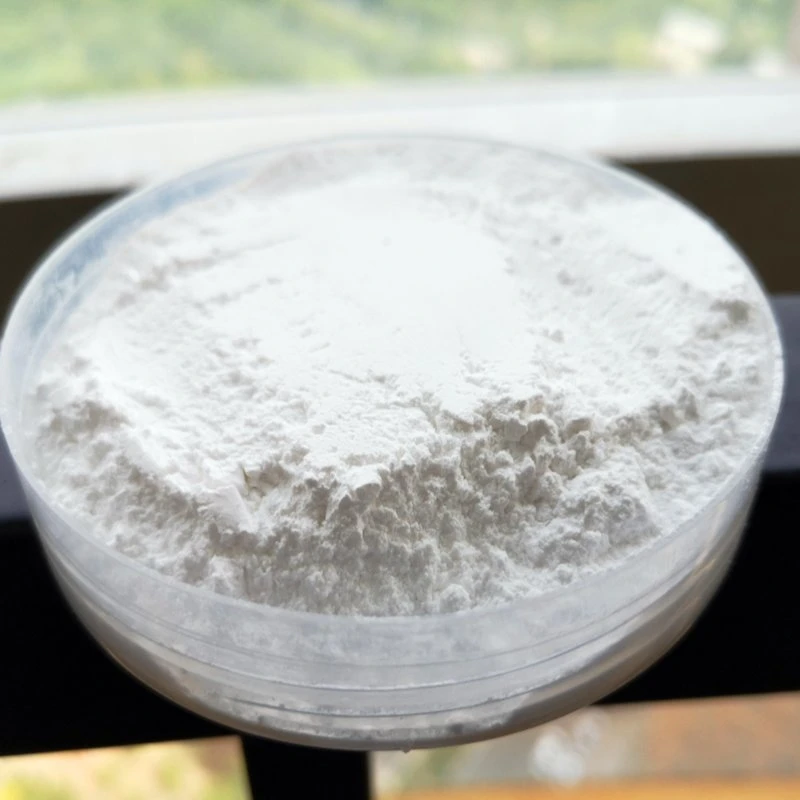 Top Quality Creatine Monohydrate Powder CAS 6020-87-7