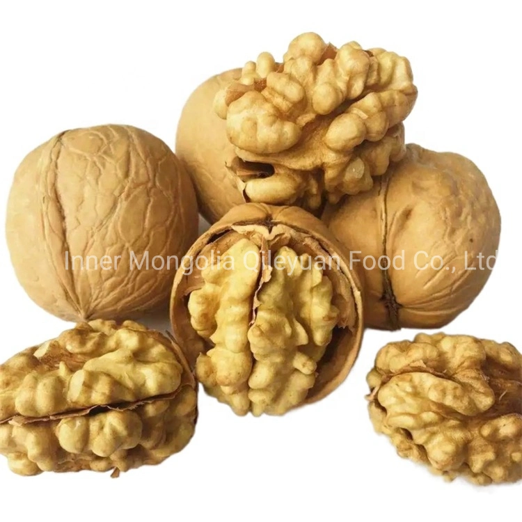 Chinese Walnut Price with Thin Paper Shell Big Size 30+/32+/34+