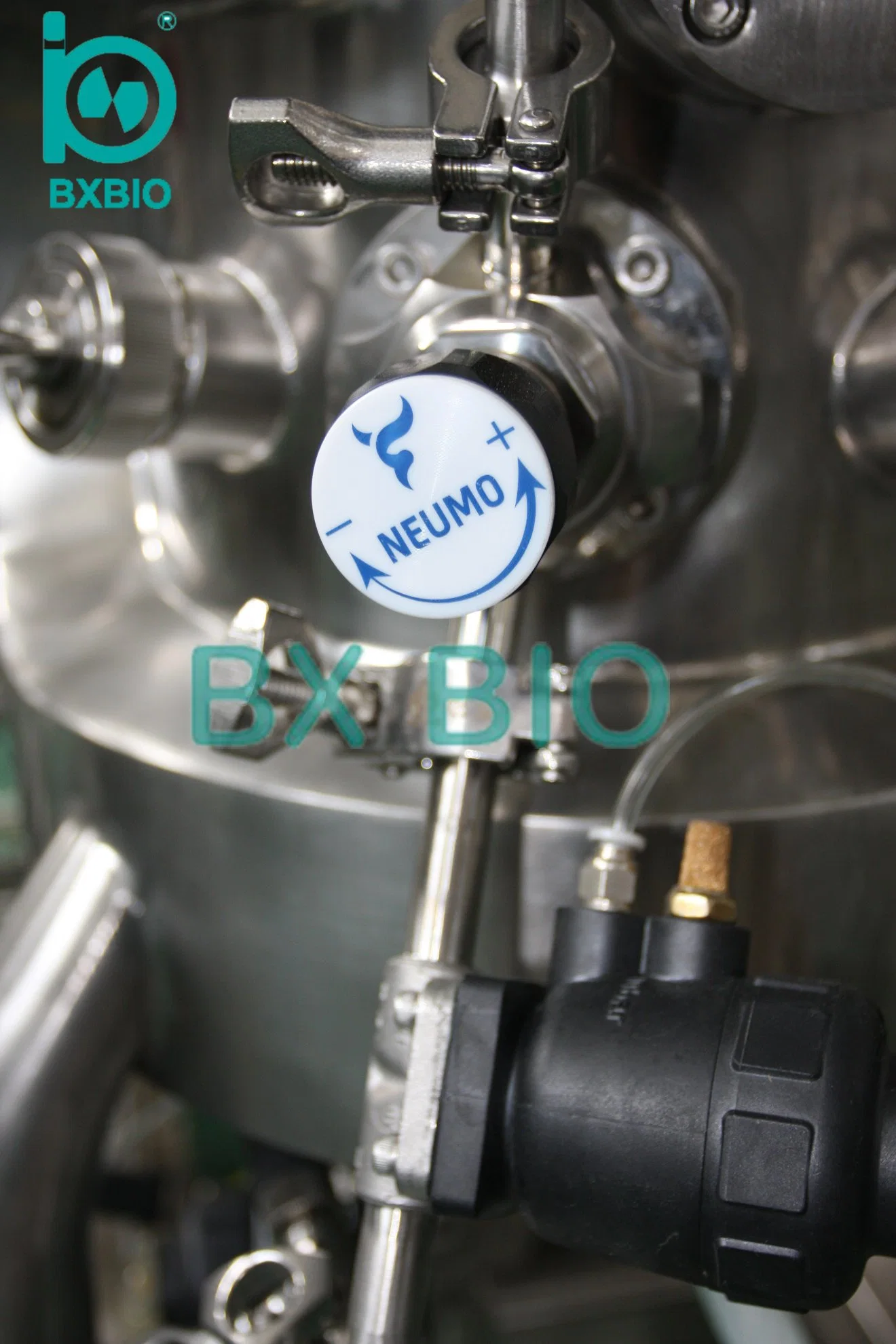 Bxbio High-Quality 10L~1000L GMP Mammal /Mammalian Cell Culture Fermenter Bioreactor for Pharmaceutical and Food