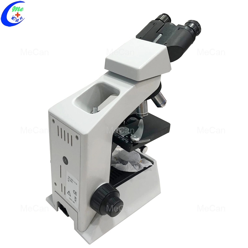 Lab Equipment Electronic Optical Binocular Biological Microscope for Sale