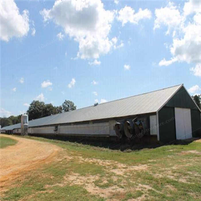 China Industrial Poultry Shed House Chicken Farm Poultry Shed Chicken Haus