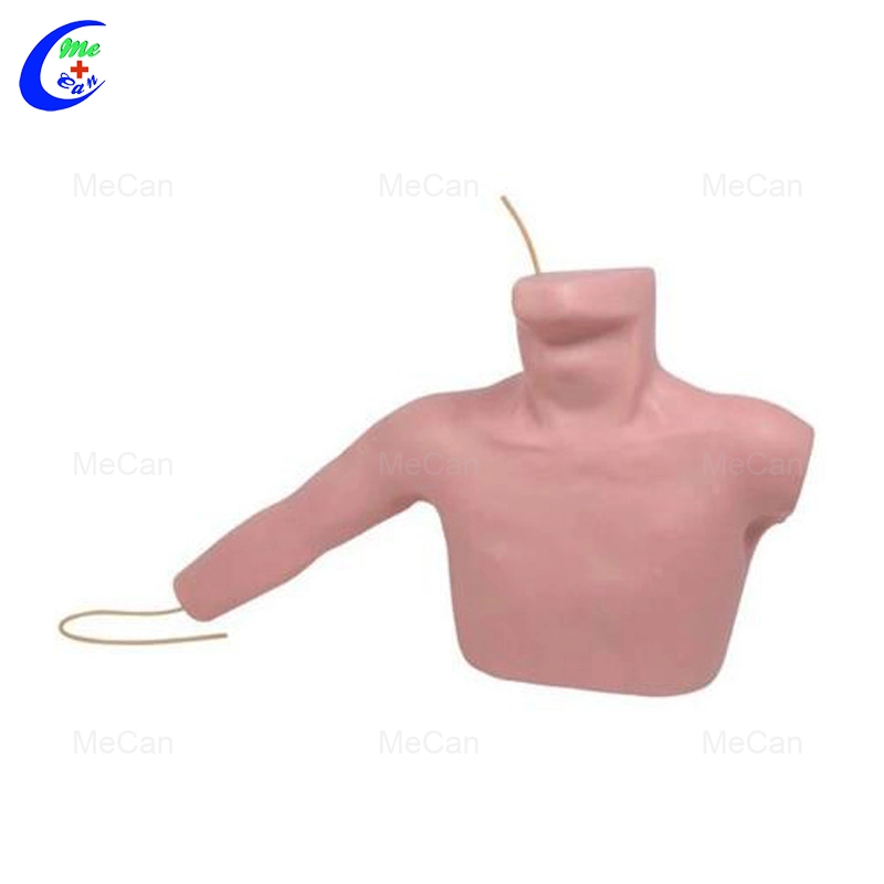 Medical Venous Puncture Catheterization Nursing Manikin Training Model