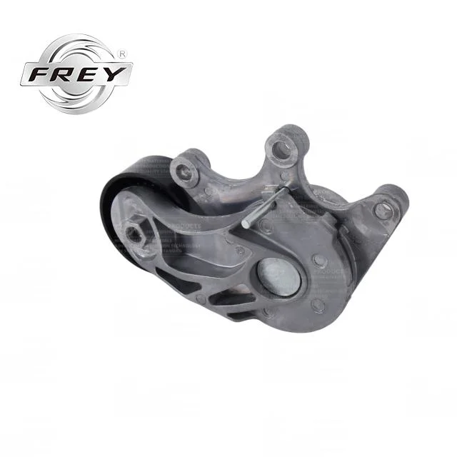 OEM 11287594969 BMW F18 F20 F07 F25 E84 F35 F15 F16 F34 ensemble tendeur de courroie de distribution du moteur Frey Auto Parts