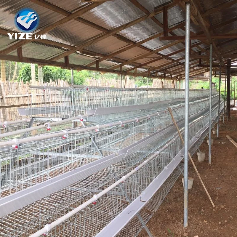 Battery Cages for Poultry Chicken Layer for Broilers and Baby Chicks