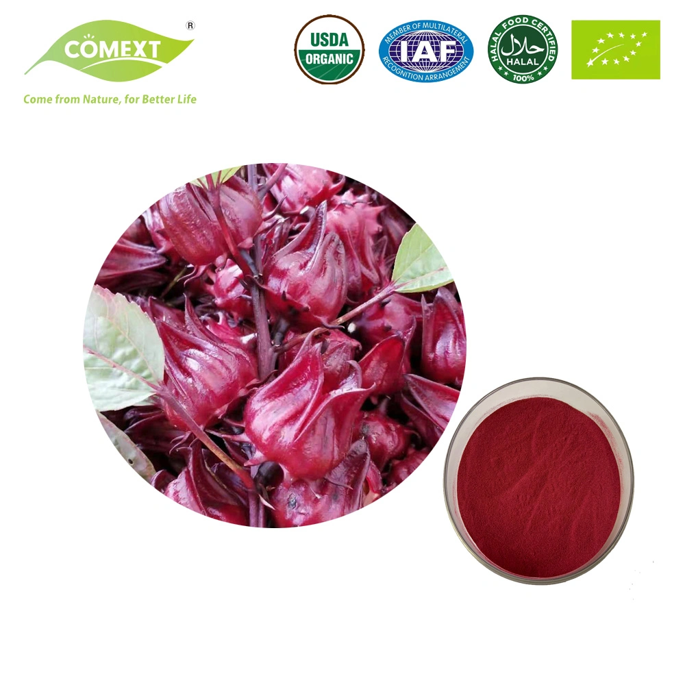 Comext China Manufacturer Free Sample Antioxidant 5% 10% 20% Anthocyanidins Powder 10: 1 Food Color Purple Red Powder Roselle Hibiscus Sabdariffa Flower Extract