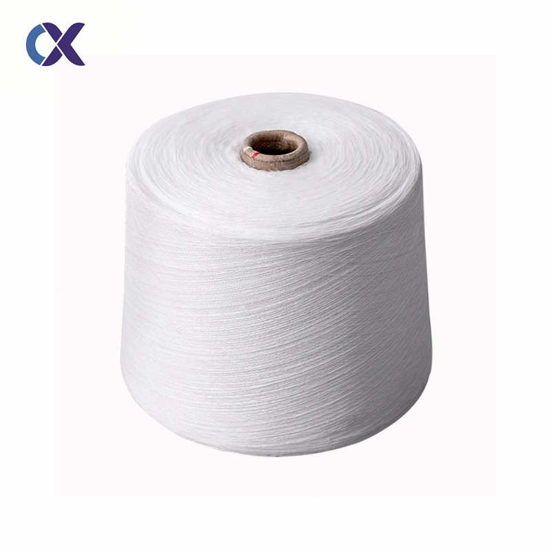 RAW White SD Gewachst 100% Polyester gesponnene Garn