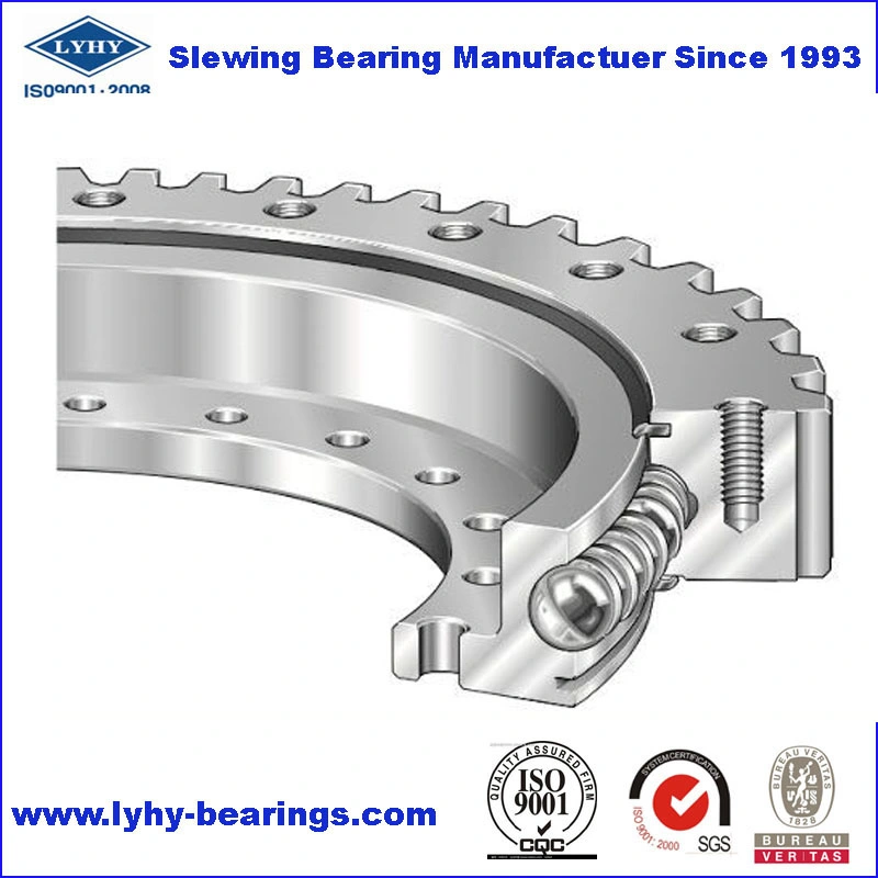 Slewing Ring Bearing Turntable Bearing External Gear 21 0411 01 Flanged Swing Bearing