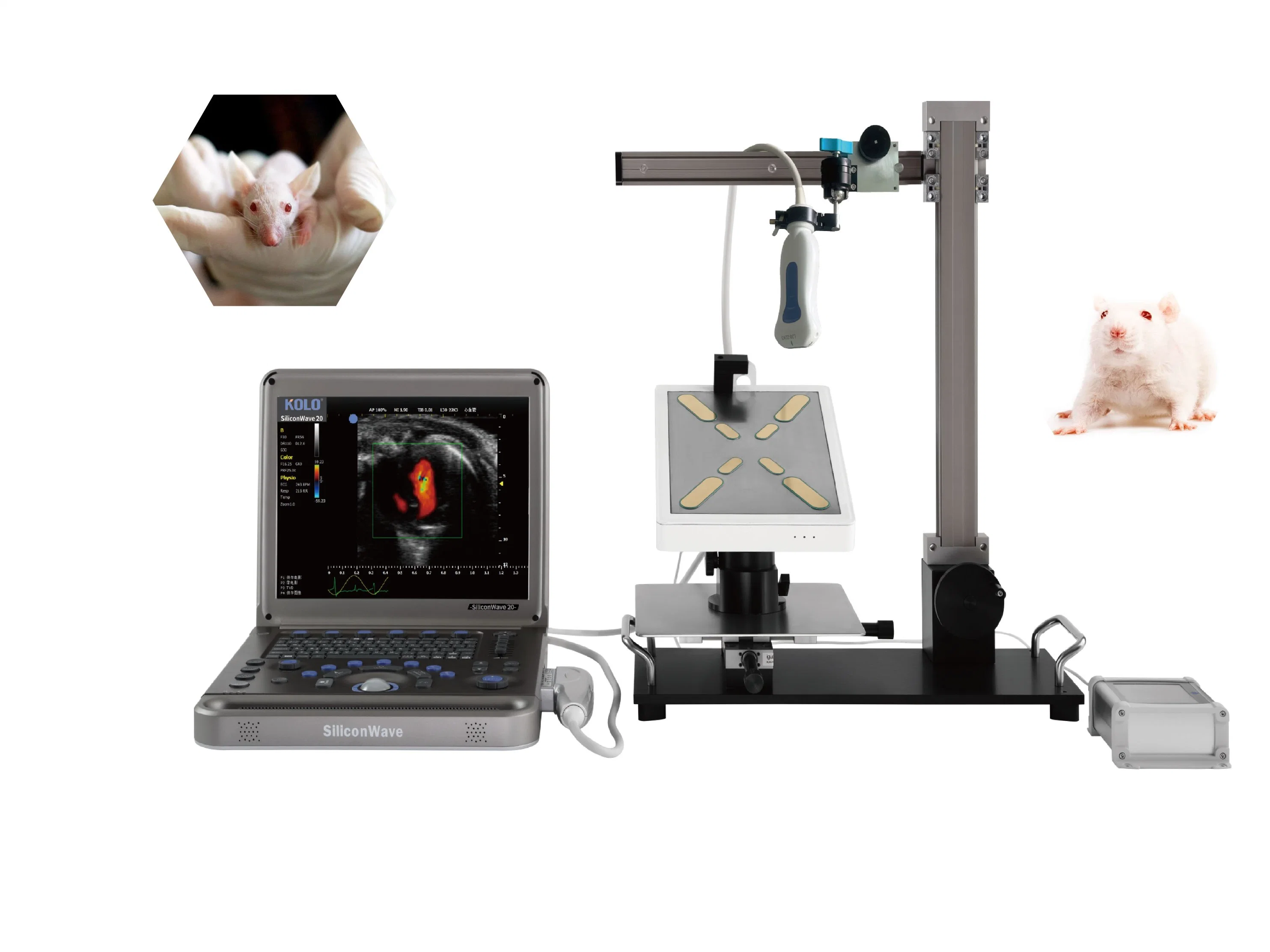 Pw Mode Portable Ultrasound Scanner for Animal Research