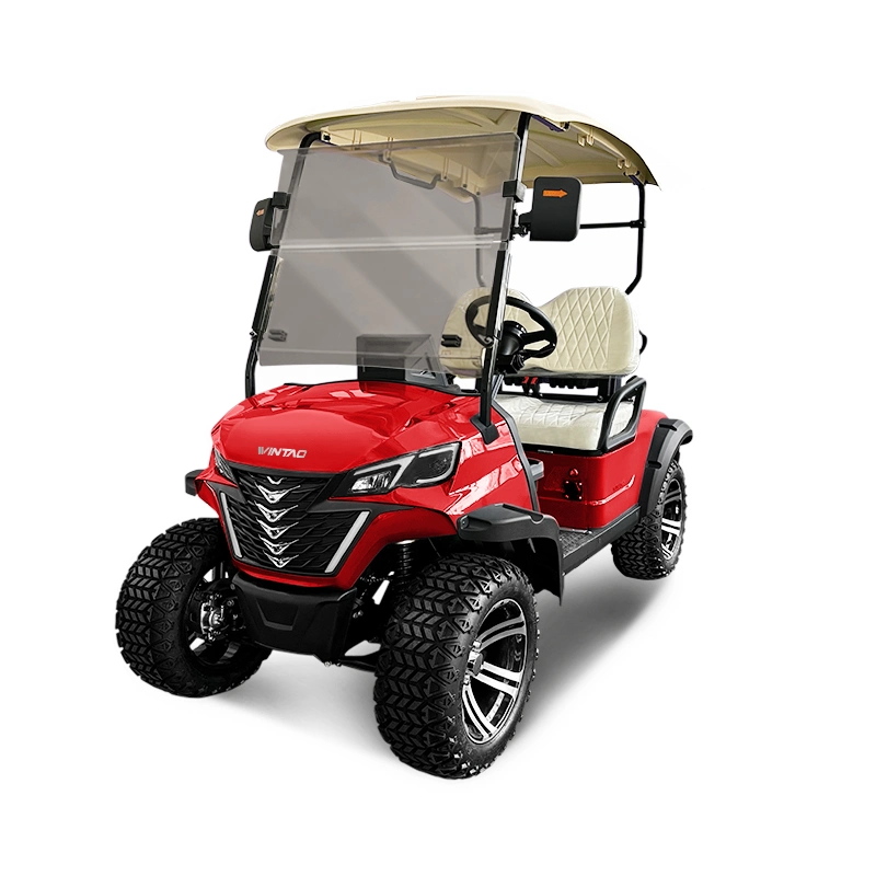 Wintao Customized Electric Golf Car for 2 Passenger Transport