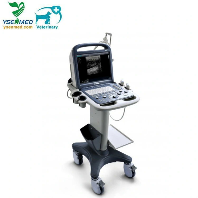 S2V Sonoscape Medical Veterinary Portable Color Doppler Ultrasound