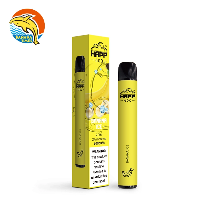 New Hot Custom Disposable/Chargeable Vape Pen 2% Salt Nicotine 600 Puff Disposable/Chargeable Electronic Cigarette