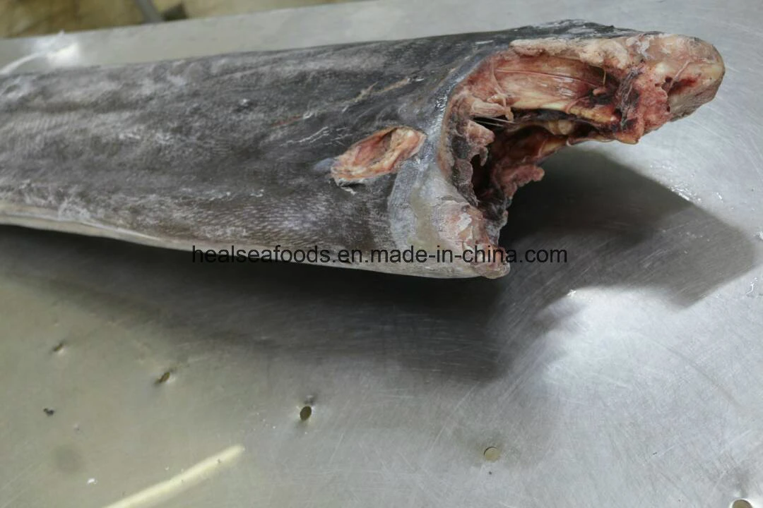 Frozen Wahoo Fish Wholesale Price