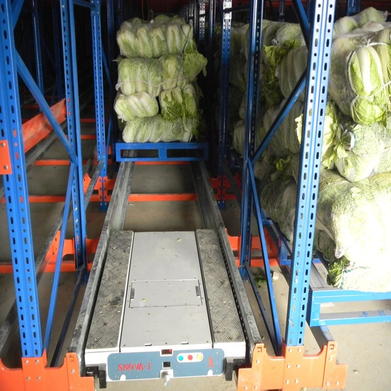 High Speed Heavy Duty Customized Radio Shuttle Pallet Racking for Warehouse Storage