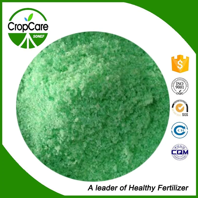 Factory Supply Water Soluble NPK Fertilizer 19-19-19 Chemcials with Agriculture Manure