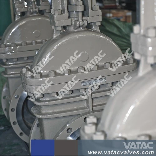 Vatac Wcb/Ss304/Ss316cast Steel Gate Valve with RF/Rtj