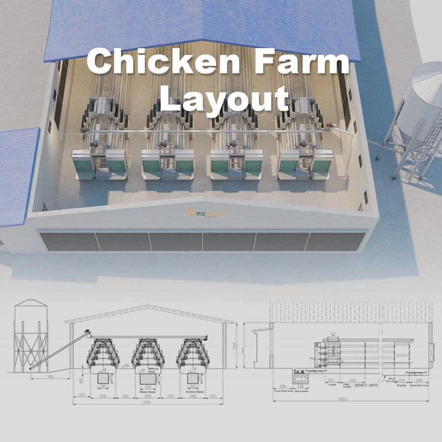 Automatic 4 tier chicken layer battery cage for Tanzania poultry farm