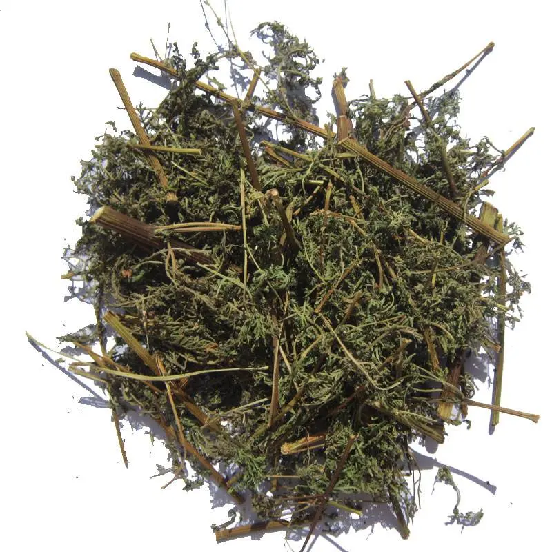 Sweet Wormwood Chinese Dry Artemisia Annua Herb/Artemisia Apiacea for Wholesale/Suppliers