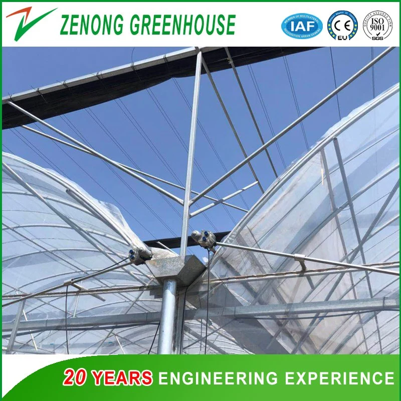 Modern Arch Roof Greenhouse with PC Board Surroundings and Plastic Film Roof