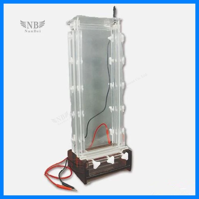 Double Vertical Gel Electrophoresis Apparatus with Reliable Quality