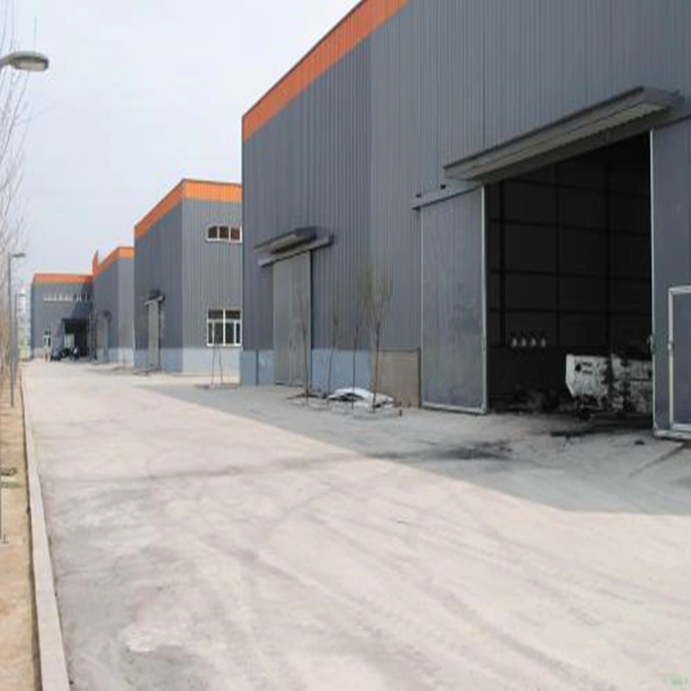 High quality/High cost performance  Large Portable Buildings Steel Structure Building