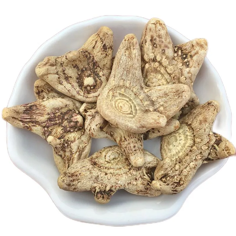 Wholesale Rhizoma Bletilla Chinese Herbal Medicine Dried Bletilla Striata Root Bai Ji
