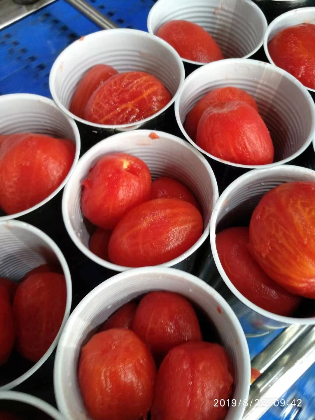 OEM Canend Food 400g geschälte Tomaten in Zinn