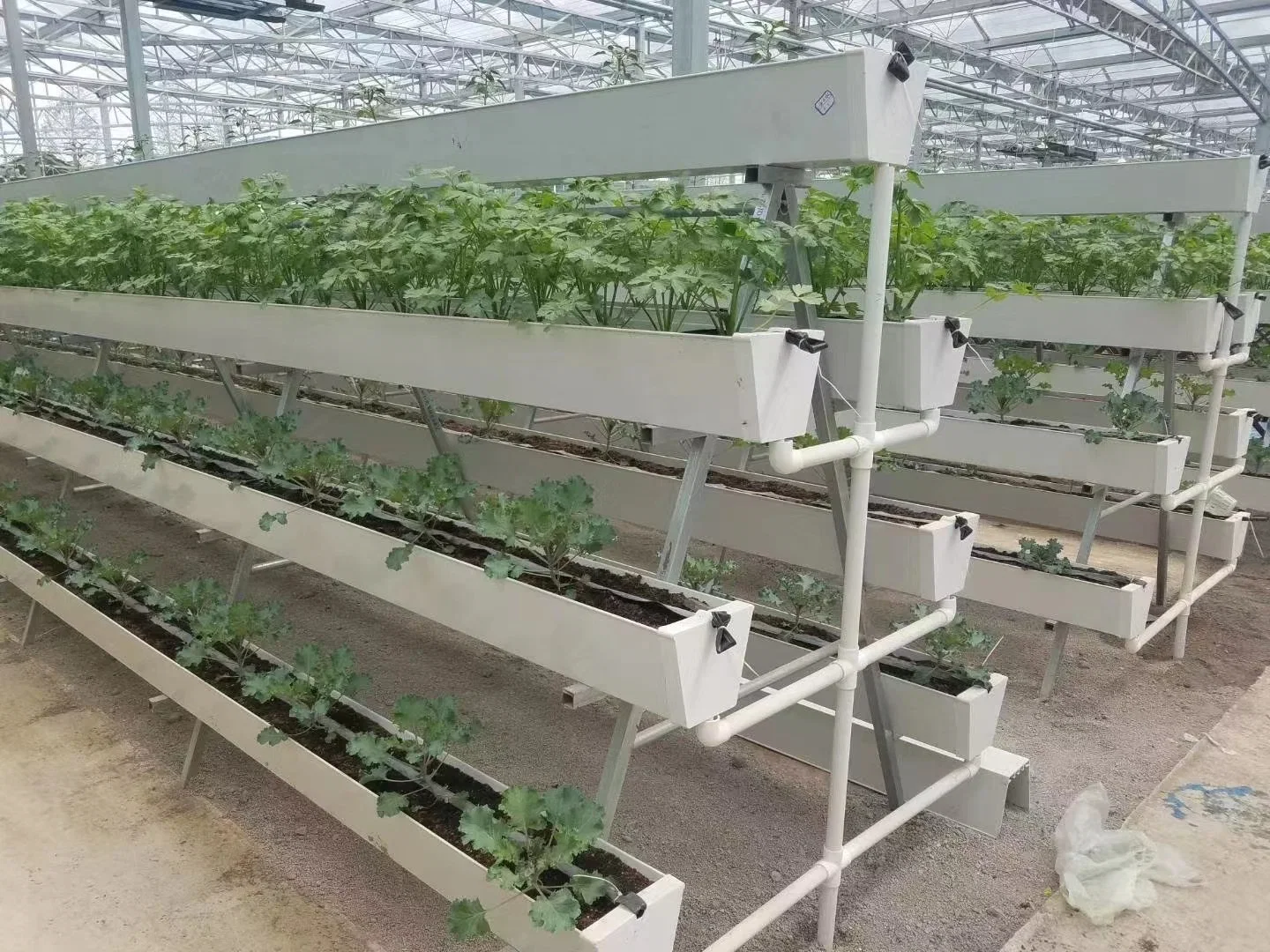 PVC Gutter Strawberry Greenhouse Hydroponics System for Strawberry