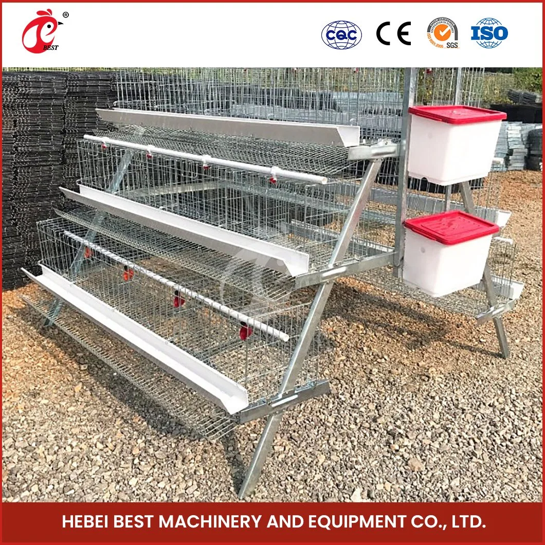 Bestchickencage a Type Chicken Pullet House Cage China Rustic Baby Chicken Coop Manufacturer High-Quality Maintenance Free and Recyclable Baby Chick Cage System