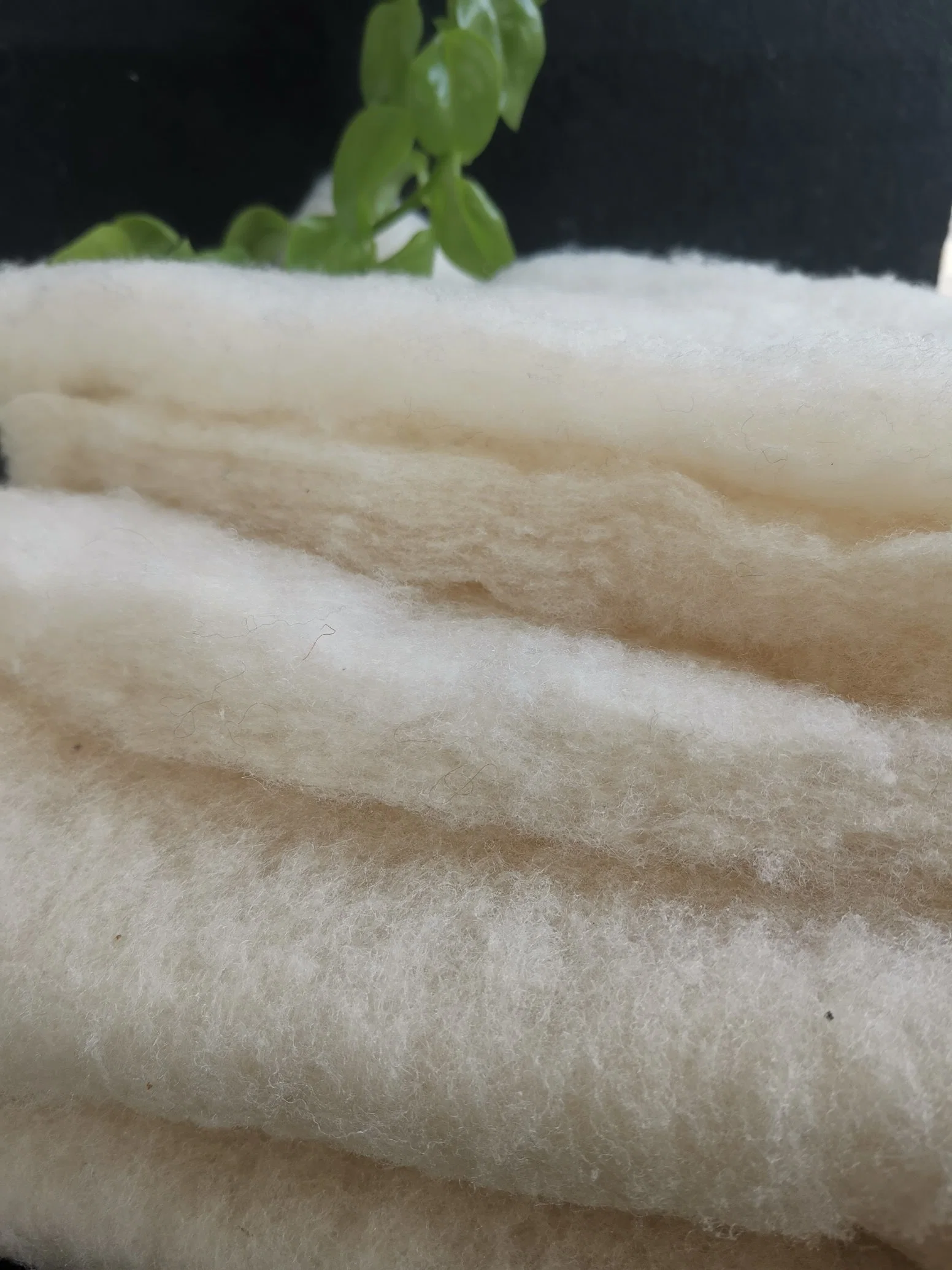 Natural Insulation Efficient Insulation Cotton Wadding for Filling Clothing/Mattress/Shoes