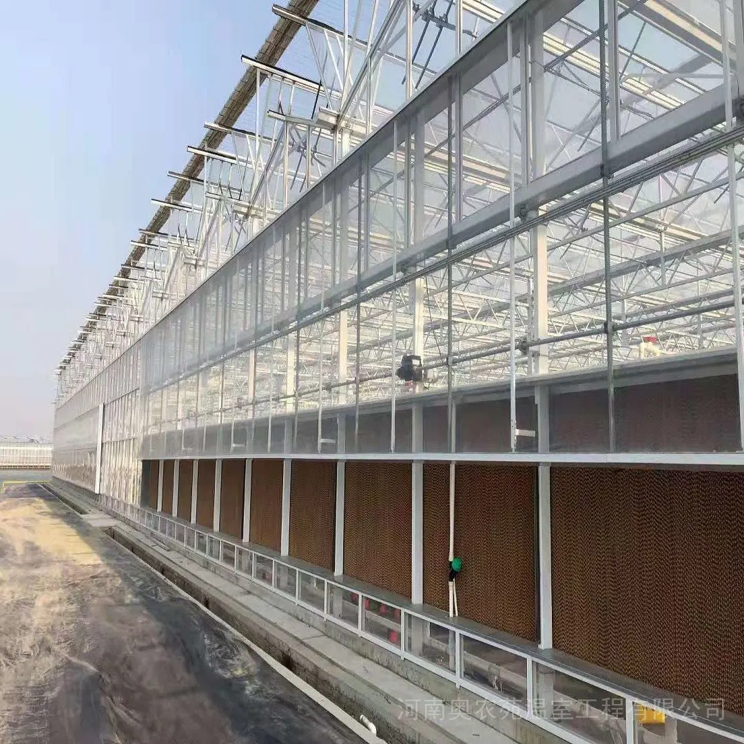 Arco de cultivo Multi-Span Niutou Marca de policarbonato de invernadero para la agricultura Tomato