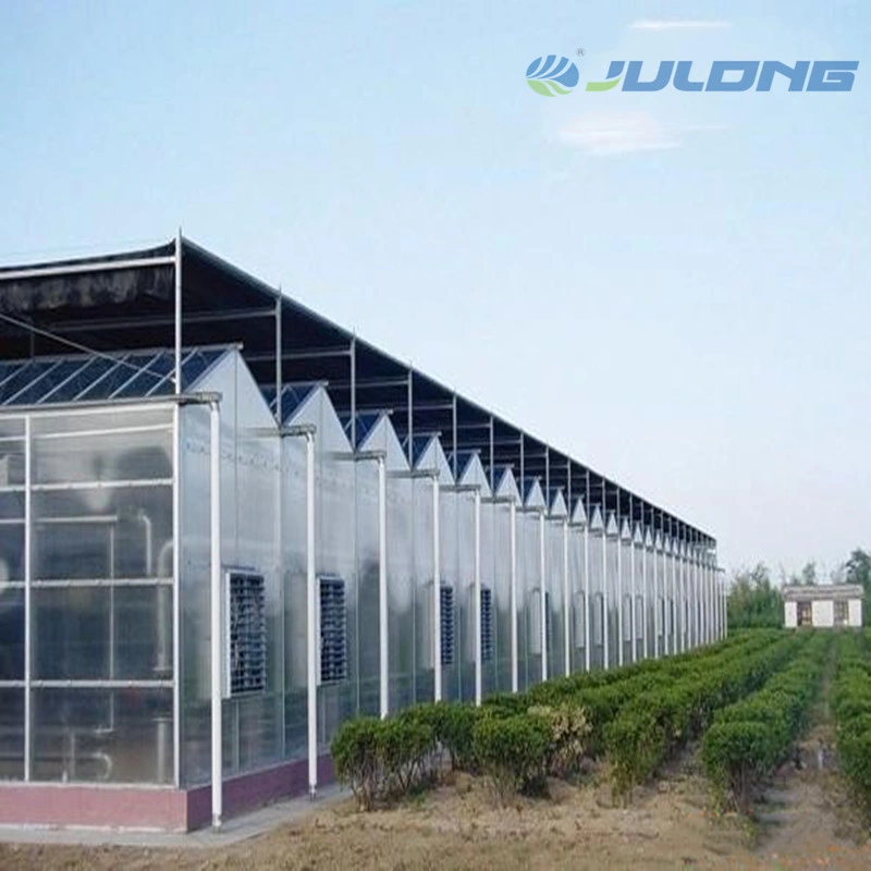Solar Commercial Multi-Span Polycarbonate Sheet Greenhouses Flower House with Cooling Pad and Fan
