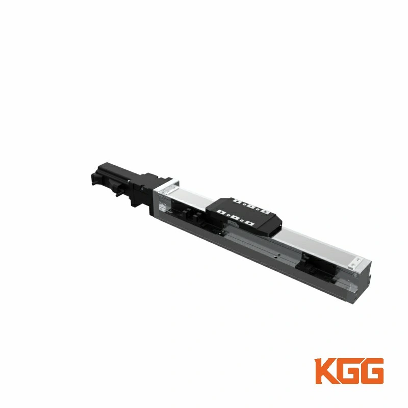 Kgg Precision 1250mm Travel Linear Actuator Module for Sorting Machines Hst Series