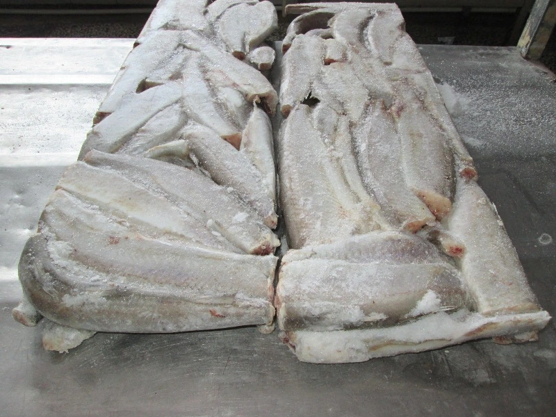 Gefrorenes Südliches Blaues Whiting Fischfilet