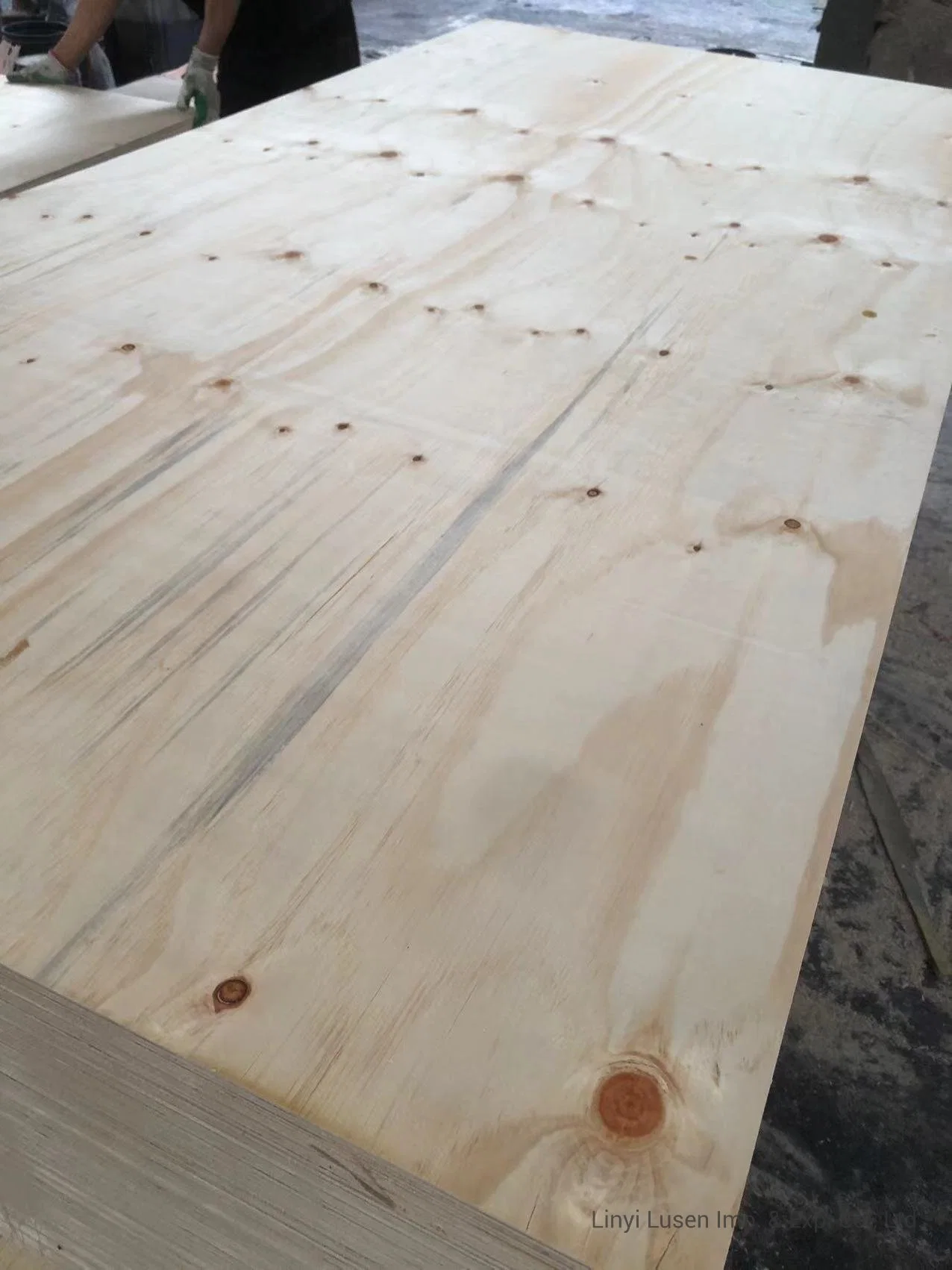 Waterproof Marine CDX Pine Plywood