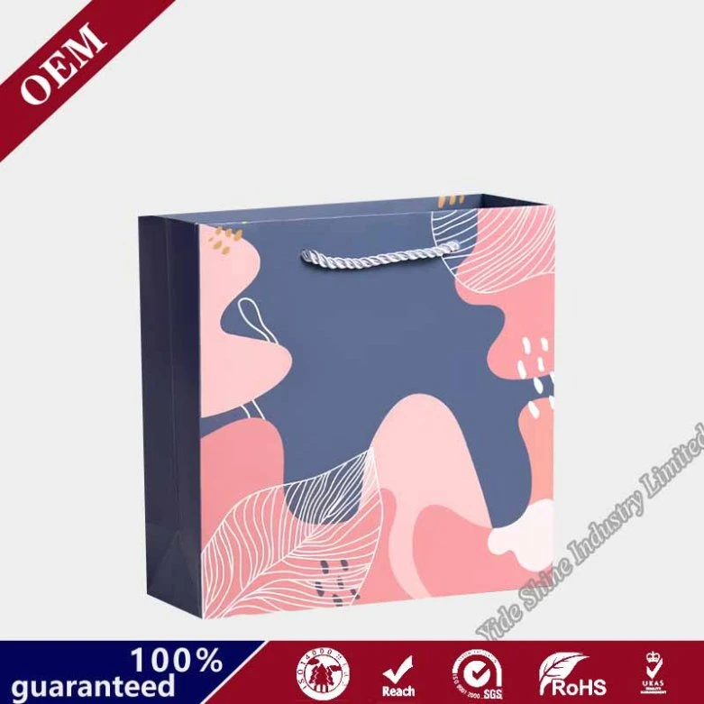 Gift Bag Ideas Wholesale/Supplier Print Color Rope Handle Manufacturer Paper Shopping Bag