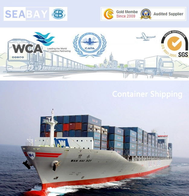 Servicio de transitario marítimo a los EAU o Yiwu Shipping Company Servicios de almacén