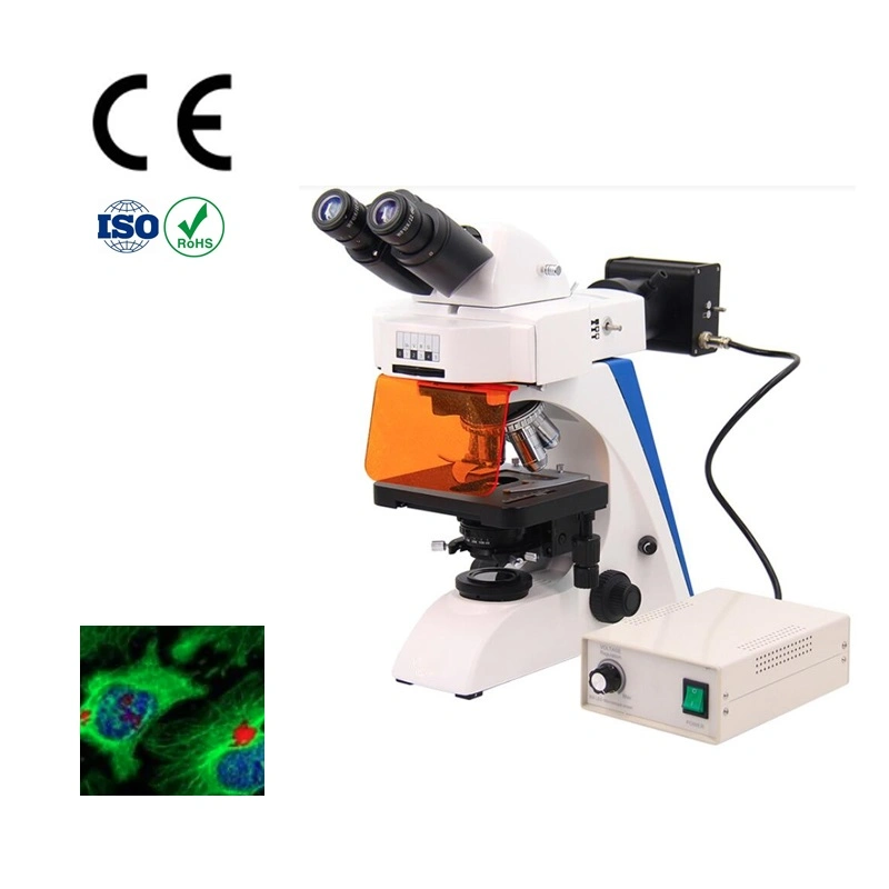 Microscope Soldering Binocular Fluorescence Microscope for Microscopes Low Price