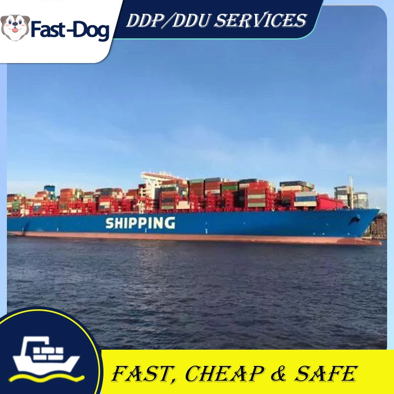 Shipping Container Agent From China to Canada UK USA DDP Shipping Forwarder Germany Cheapest