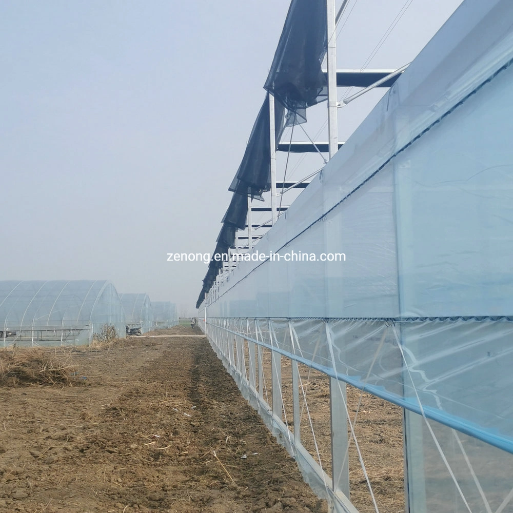 China Fornecedor de fábrica de plástico filme com efeito de estufa filme agrícola UV Agricultura