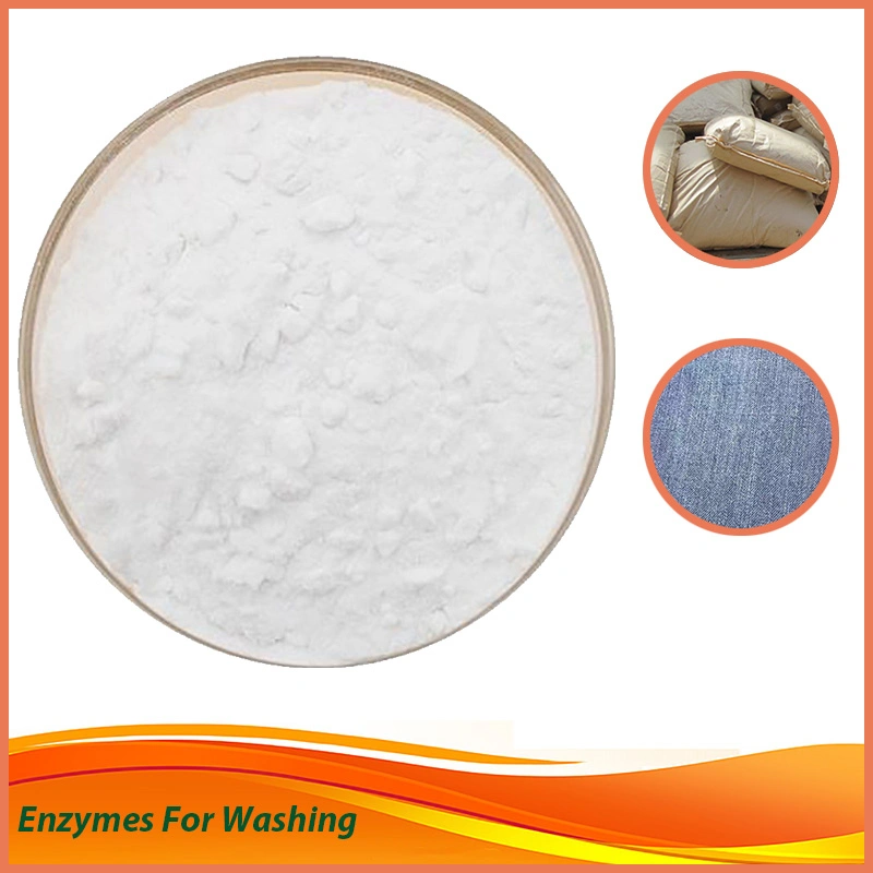 Factory Supply High quality/High cost performance Industrial Neutral Enzyme Bio Polish Enzyme