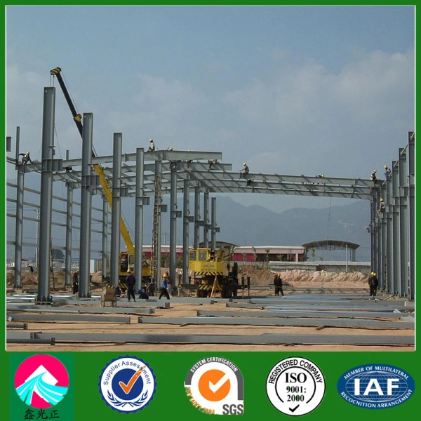 Galvanized Steel Structure / Steel Frame Building (XGZ-SSW 217)