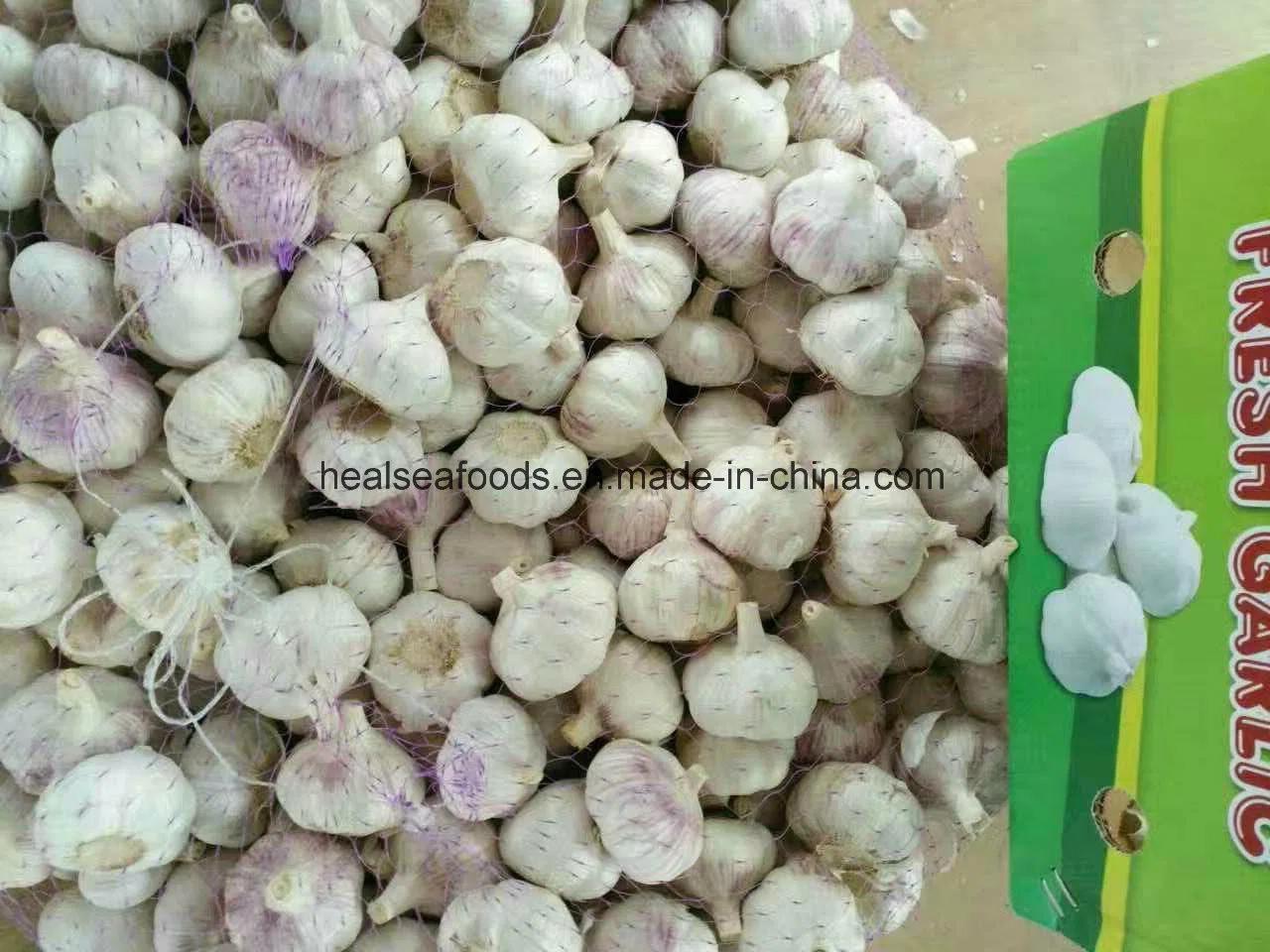 Chinese Fresh Pure White Garlic 5.5cm+