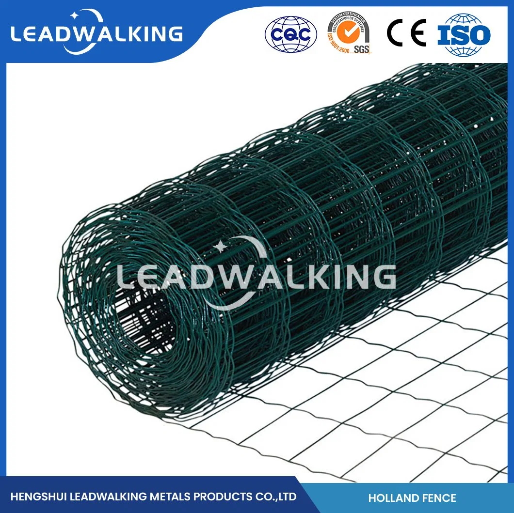 Leadwalking Plastic Welded Coated Wire Mesh Factory Custom Holland Wire Mesh Deer Fence China 1.6-2.5mm Wire Thickness Plastic Coated Holland Weave Wire Mesh