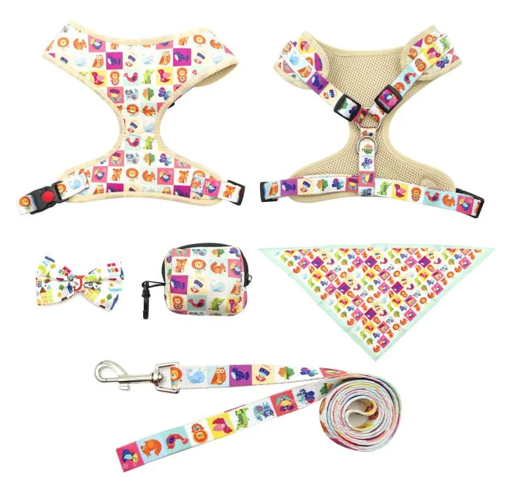 Fantasia personalizado Dog produtos incluem o colar leash